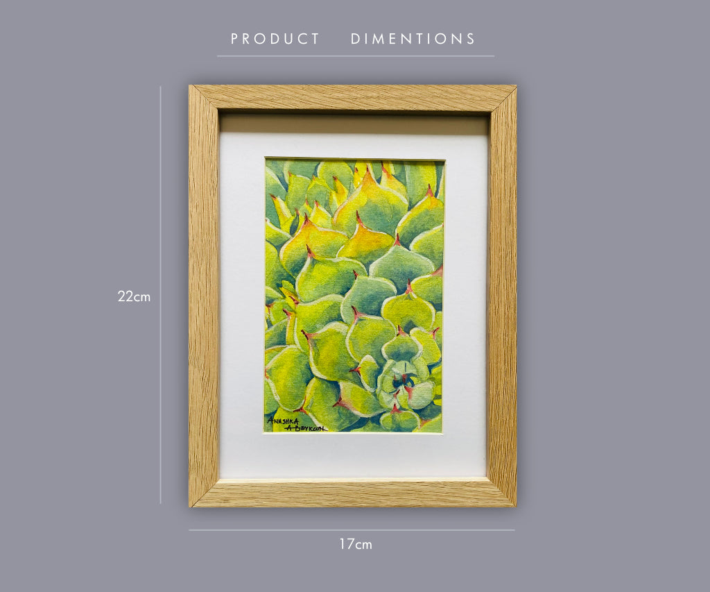 Succulent | Original Watercolour Painting