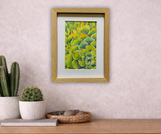 Succulent | Original Watercolour Painting