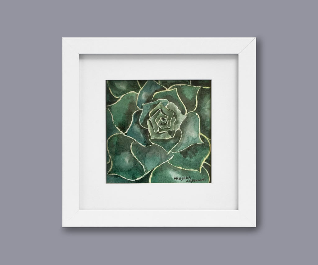 Succulent | Original Watercolour Painting