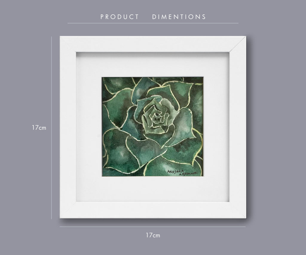 Succulent | Original Watercolour Painting