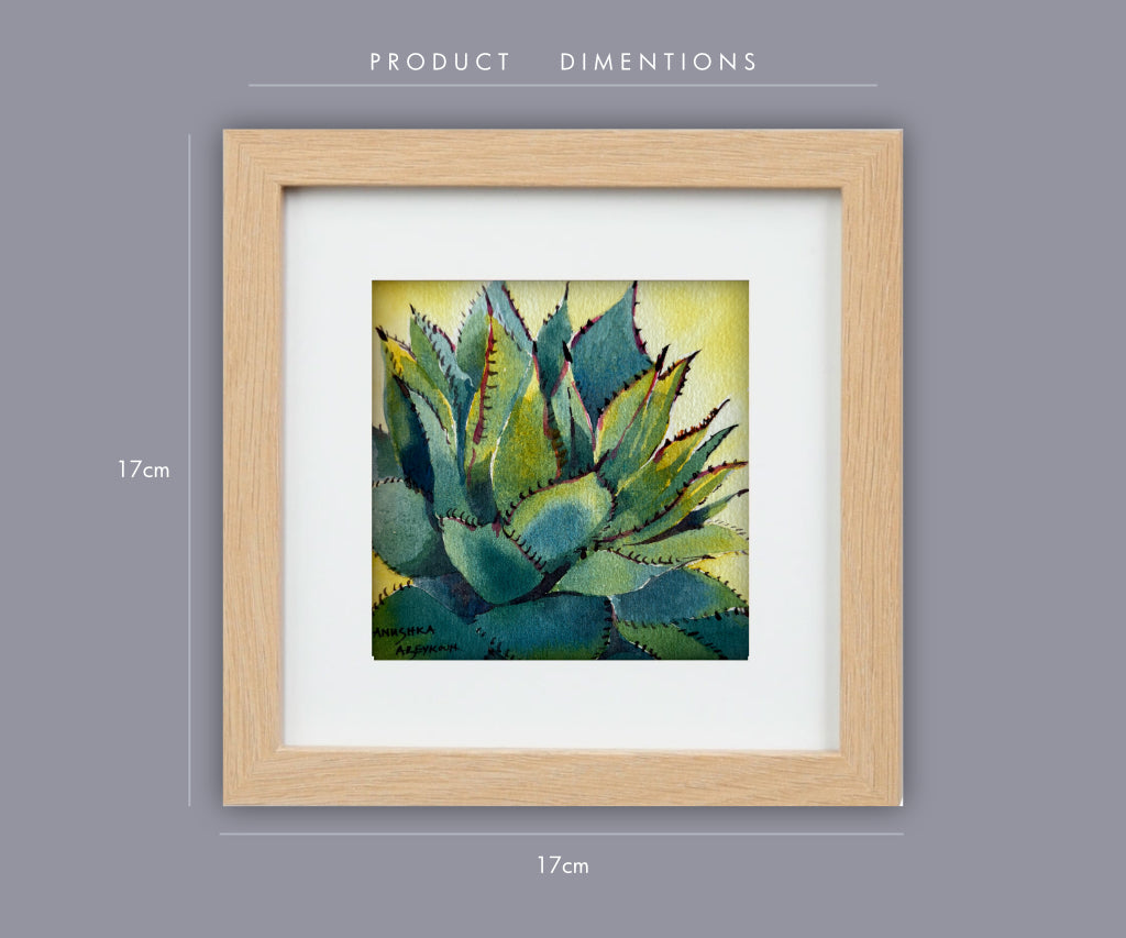 Succulent | Original Watercolour Painting