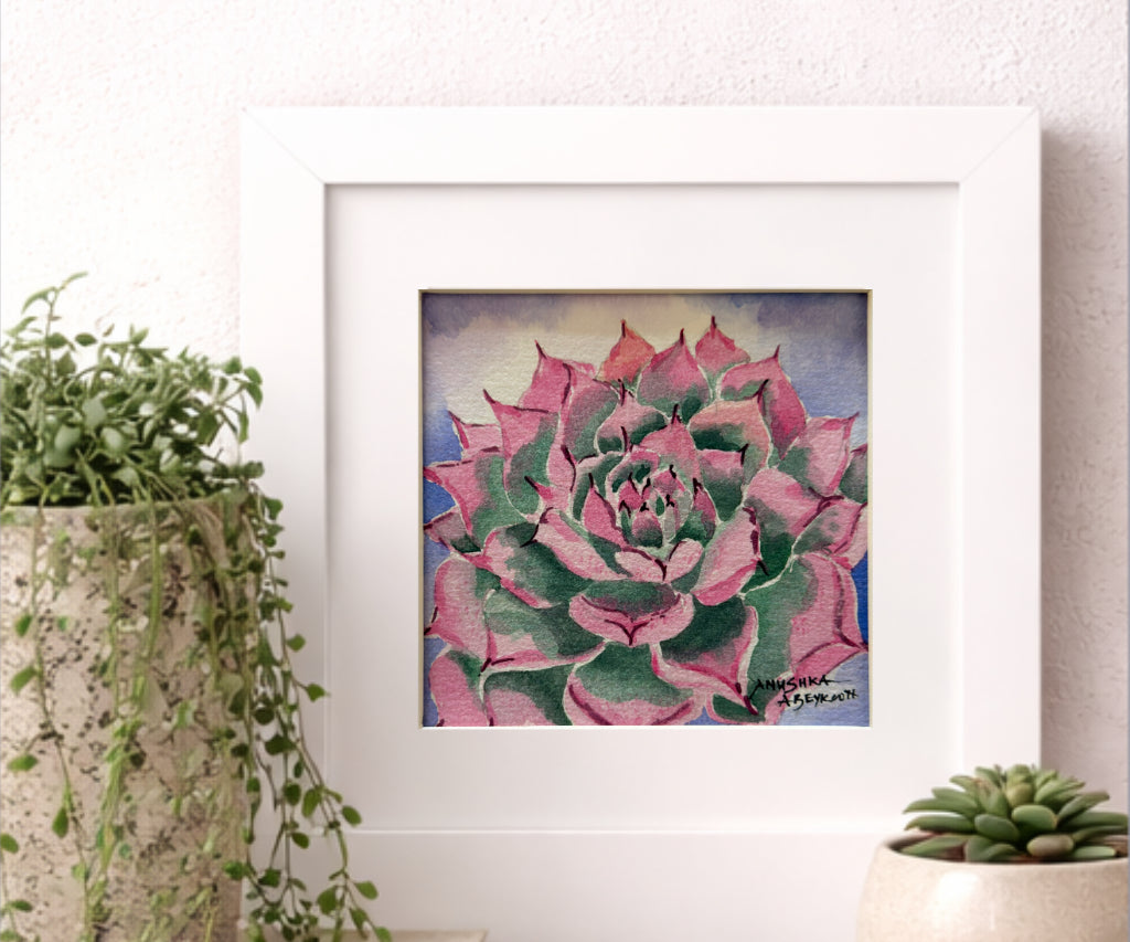 Succulent | Original Watercolour Painting
